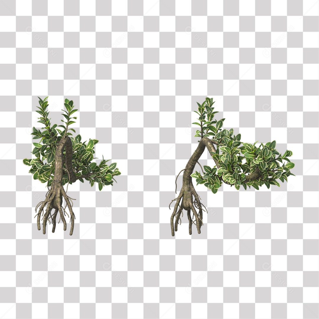 Árvores verdes PNG Transparente