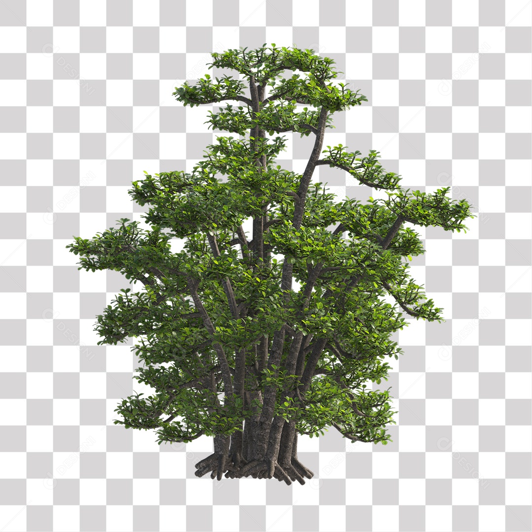 Árvores verdes PNG Transparente