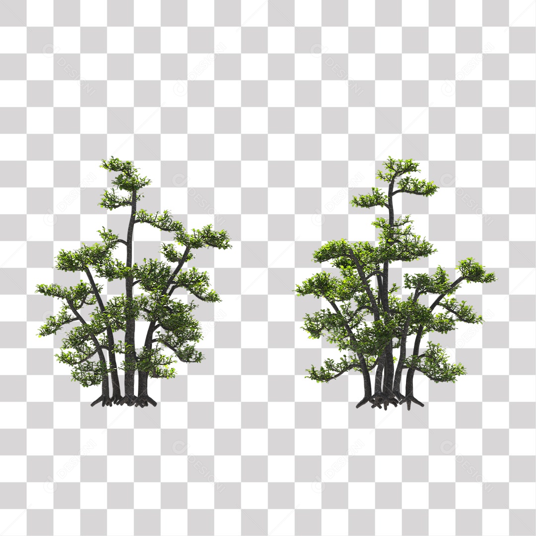 Árvores verdes PNG Transparente