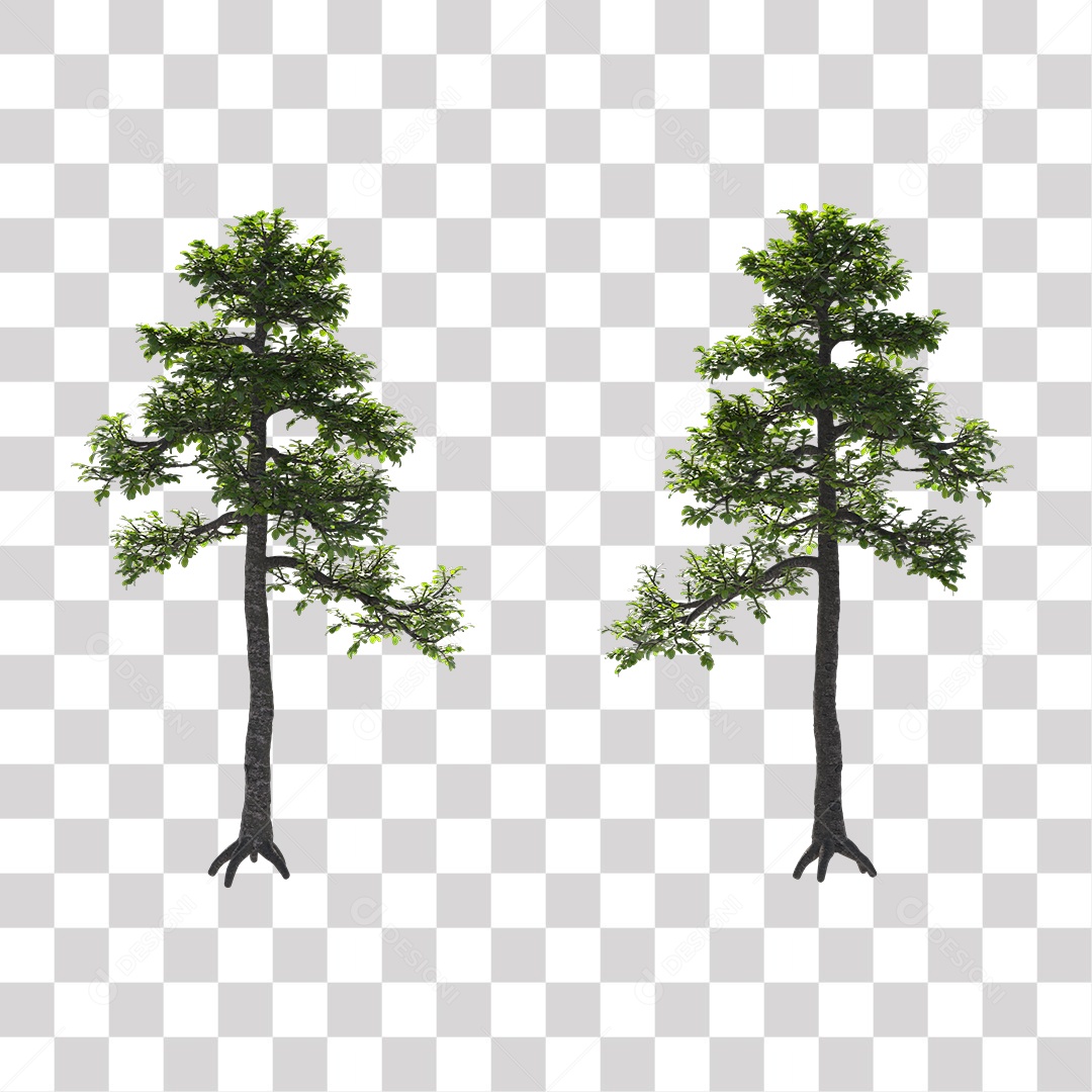 Árvores verdes PNG Transparente