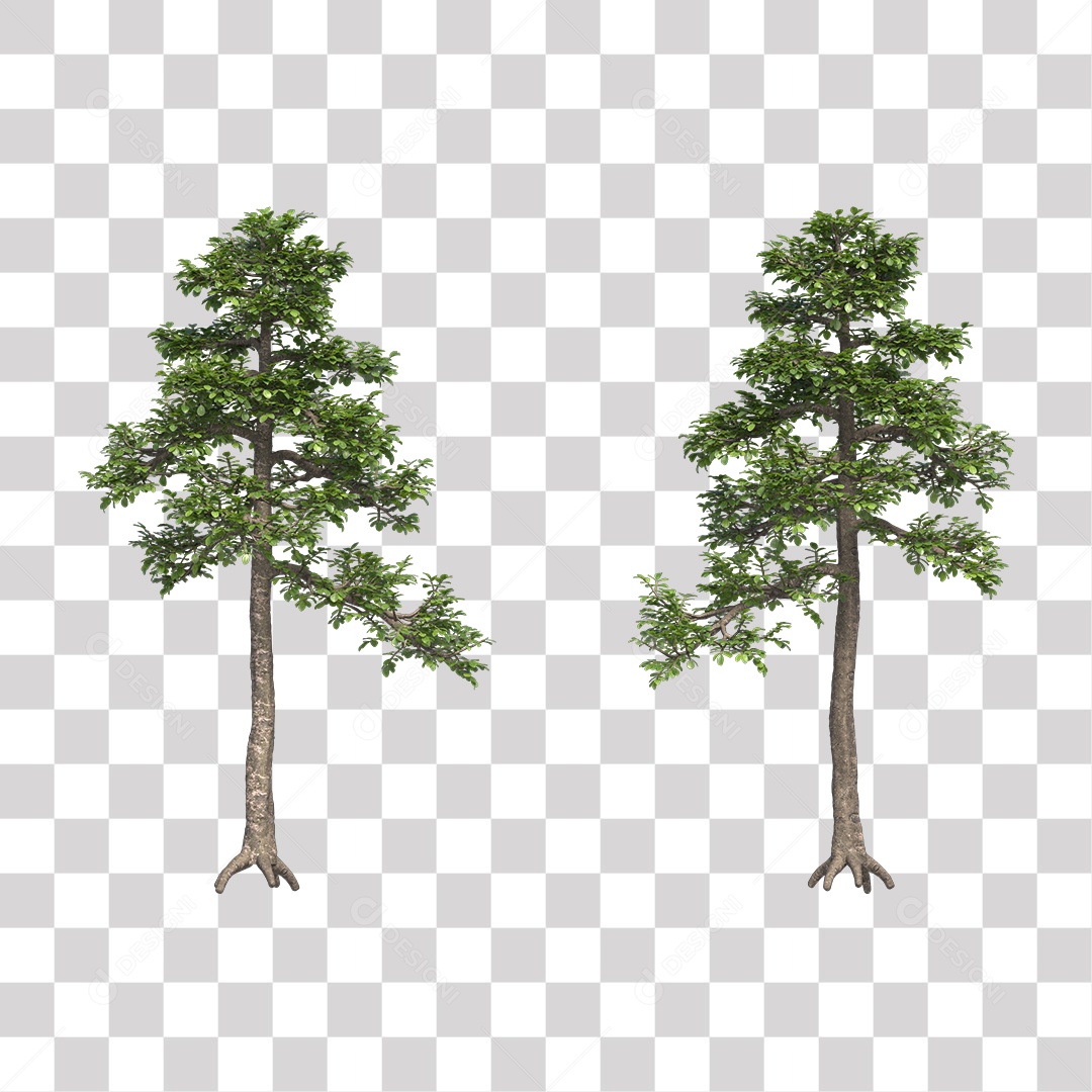 Árvores verdes PNG Transparente