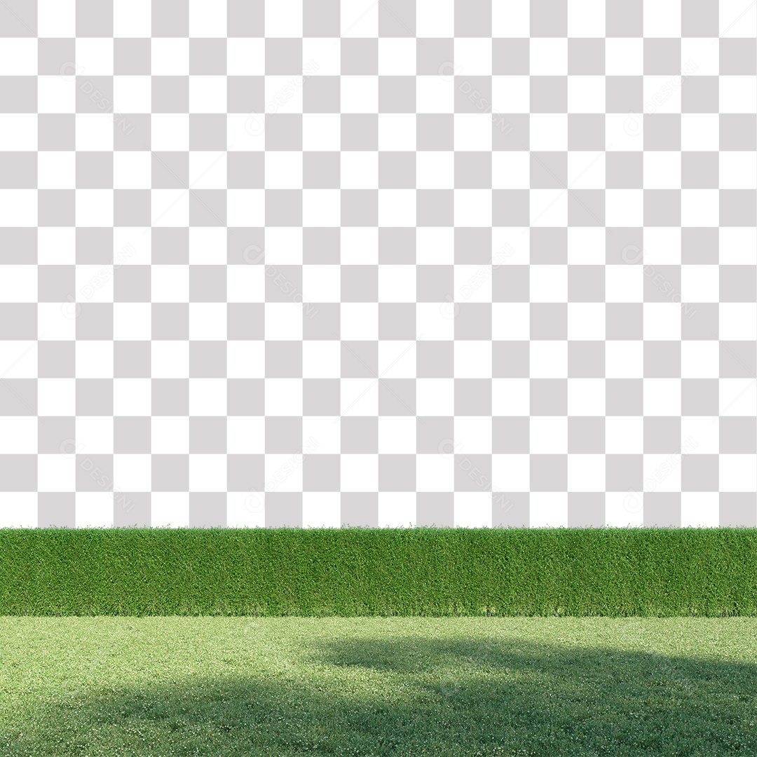 Paisagem campo sobre floresta gramado PNG Transparente