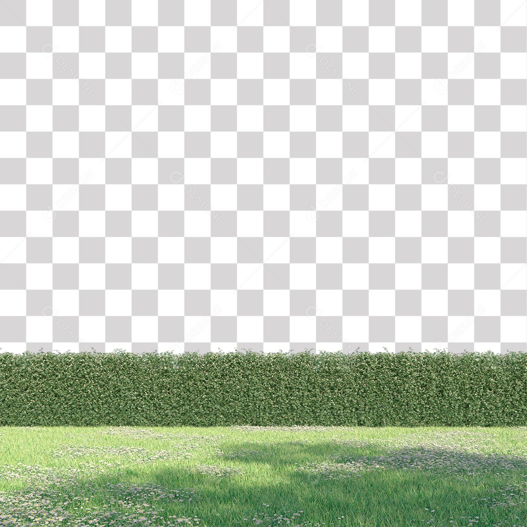 Paisagem campo sobre floresta gramado PNG Transparente