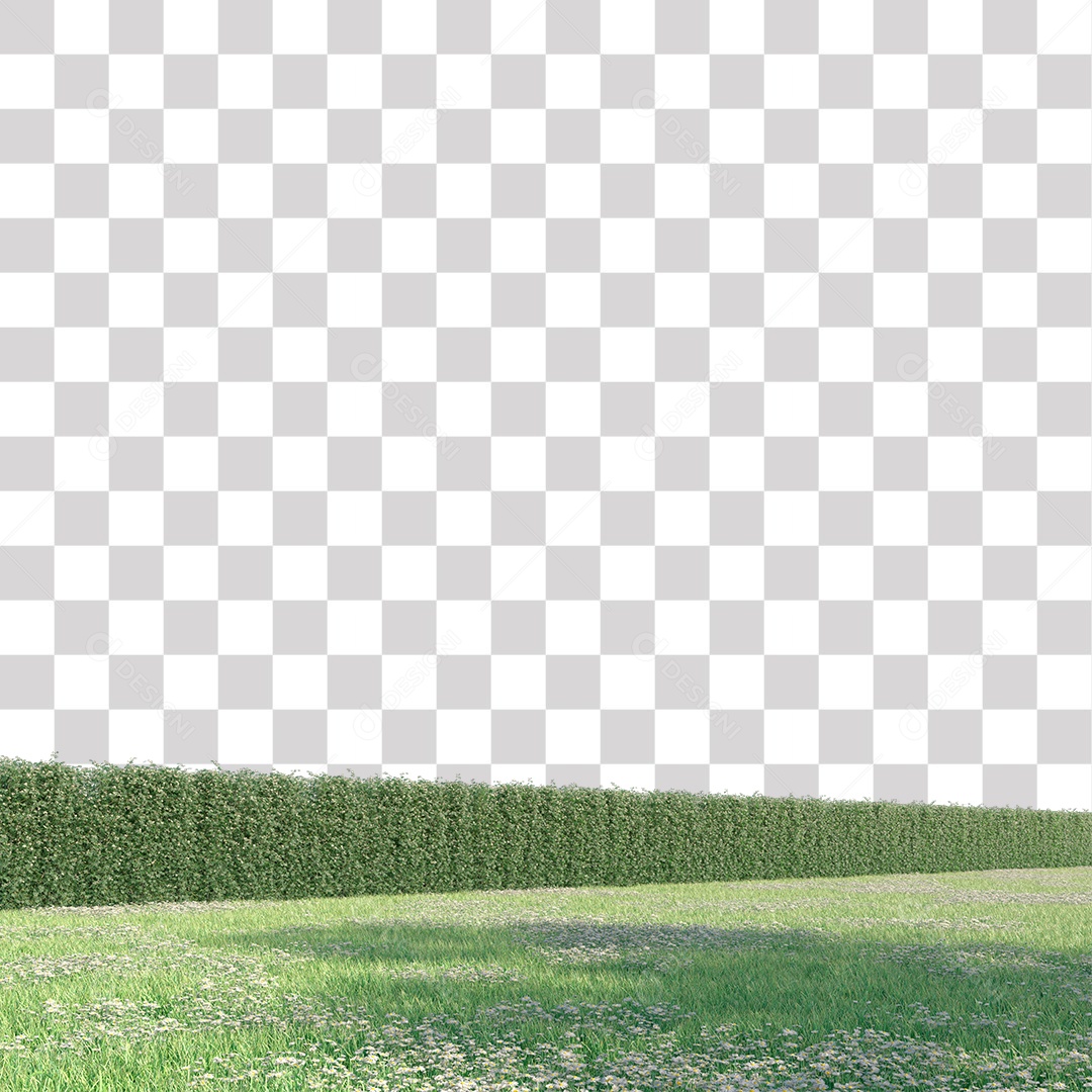 Paisagem campo sobre floresta gramado PNG Transparente