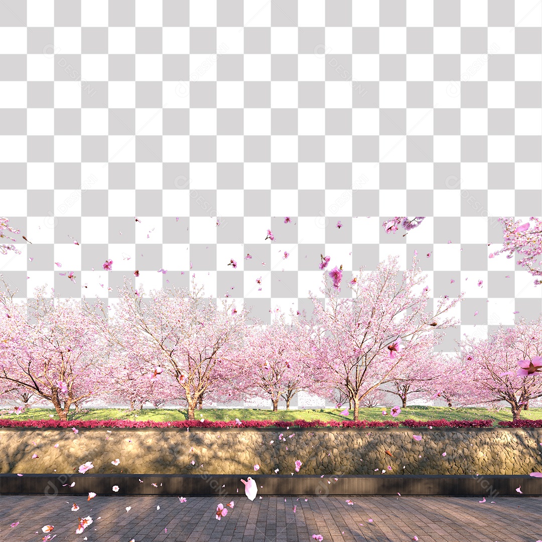 Paisagem campo sobre floresta gramado PNG Transparente