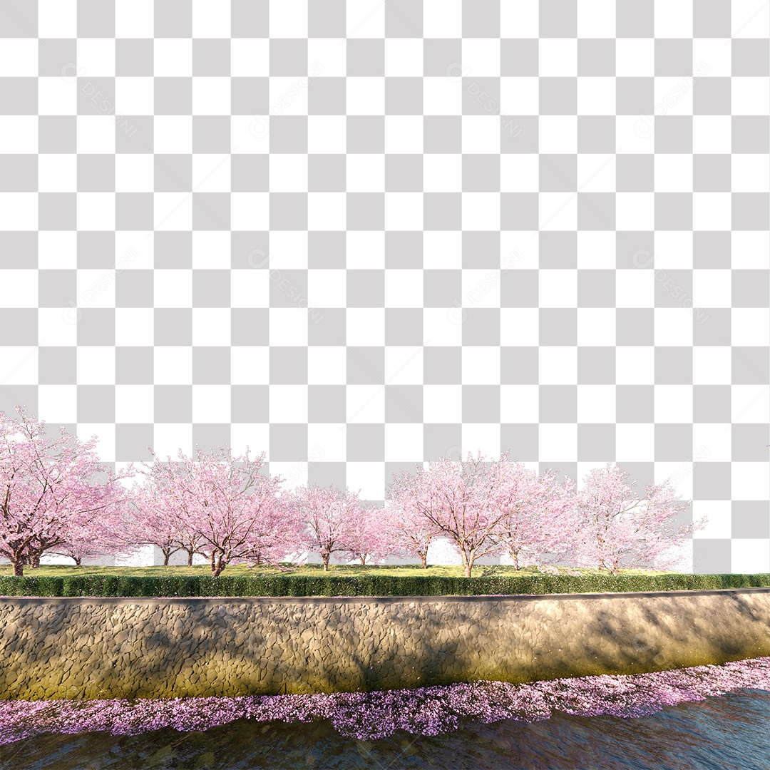 Paisagem campo sobre floresta gramado PNG Transparente