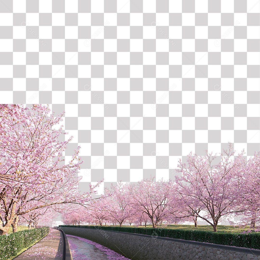 Paisagem campo sobre floresta gramado PNG Transparente