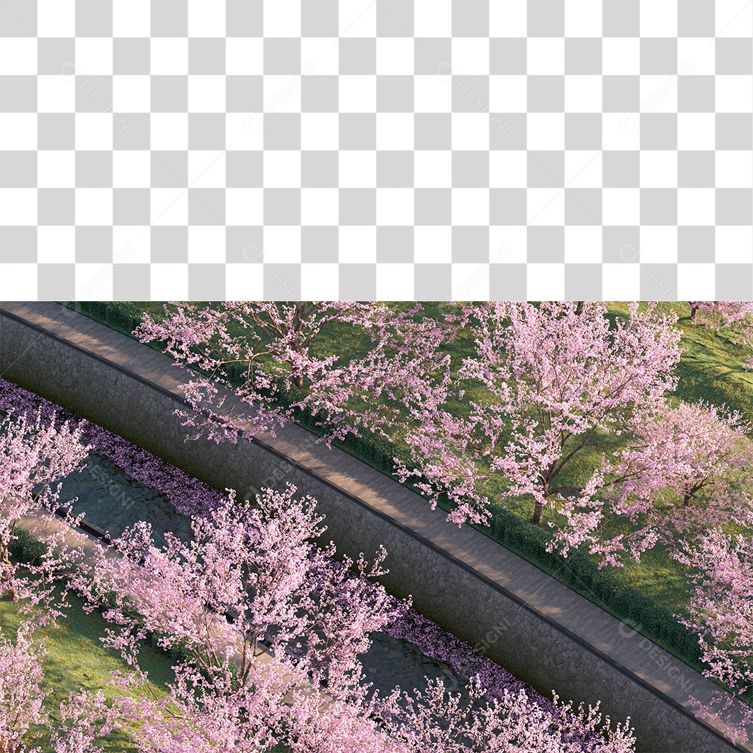 Paisagem campo sobre floresta gramado PNG Transparente