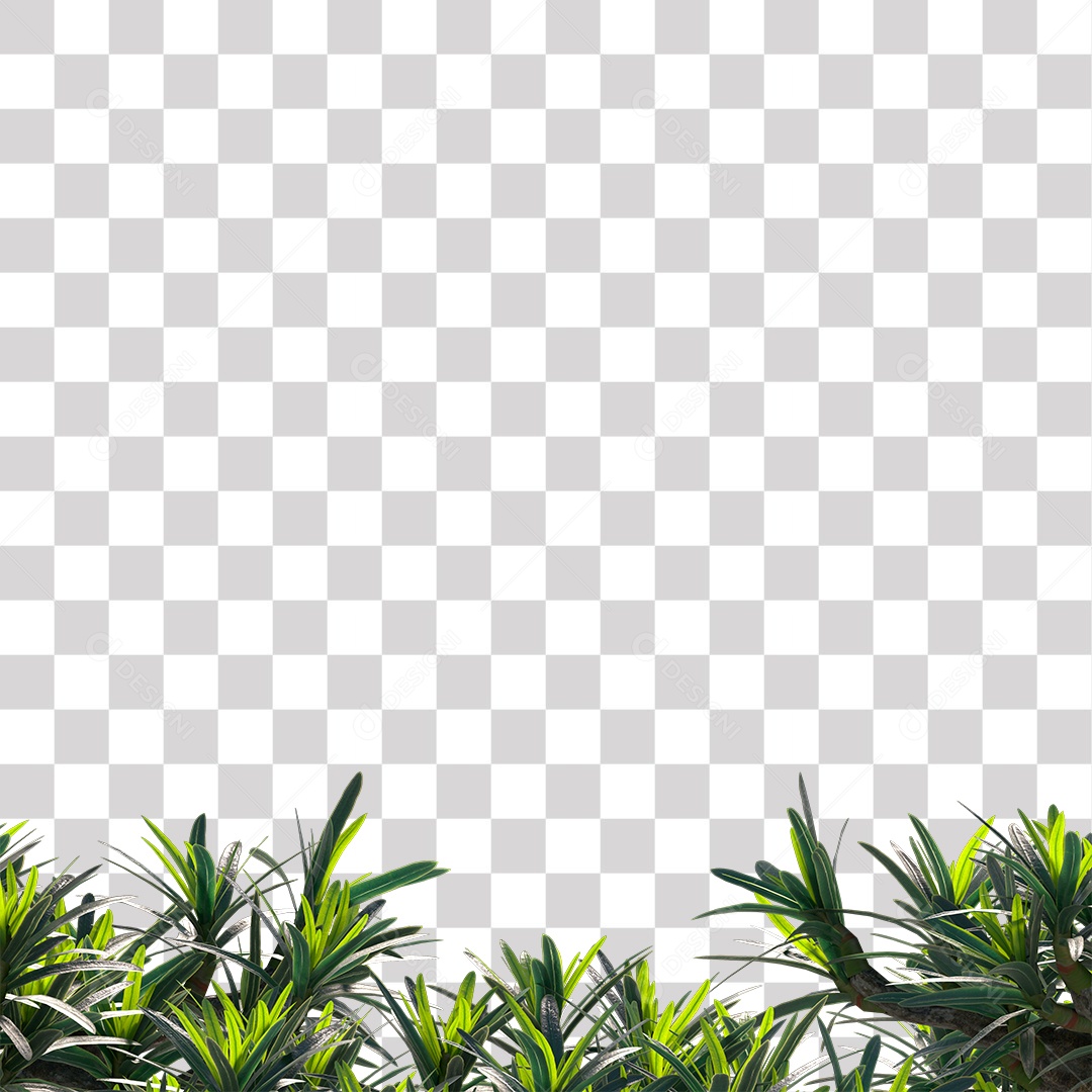 Paisagem campo sobre floressta arvore galhos PNG Transparente