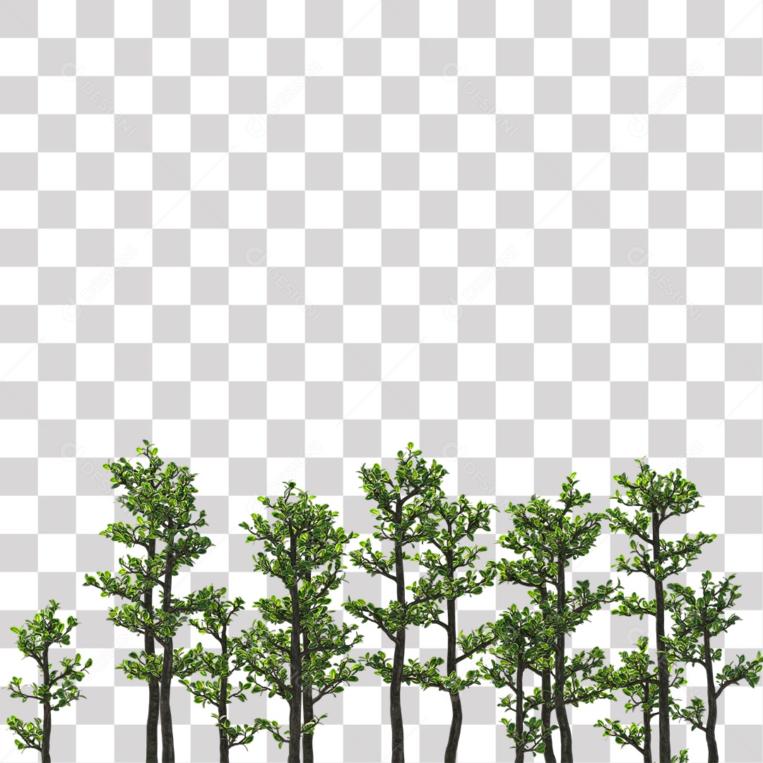 Paisagem campo sobre floresta arvore galhos PNG Transparente