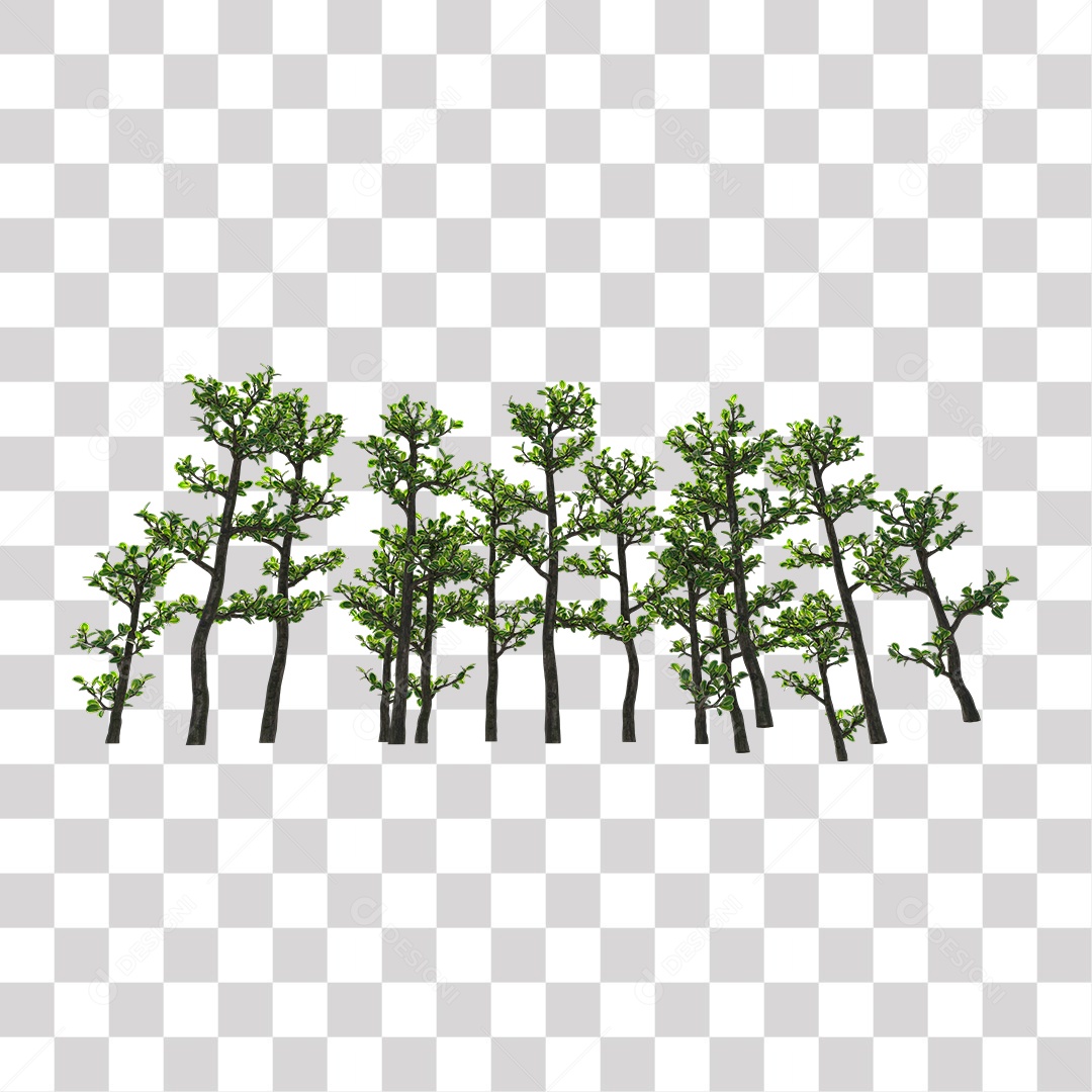 Paisagem campo sobre floresta arvore galhos PNG Transparente