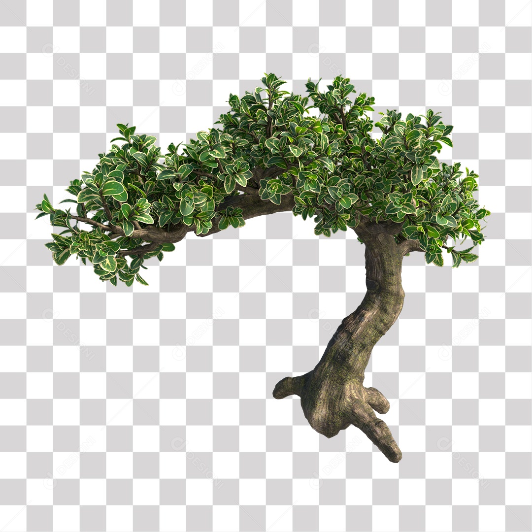 Árvores verdes PNG Transparente