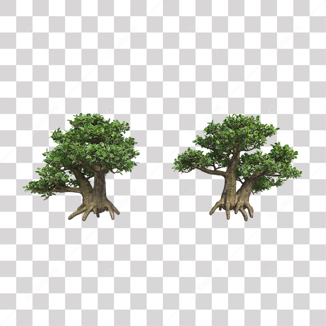 Árvores verdes PNG Transparente