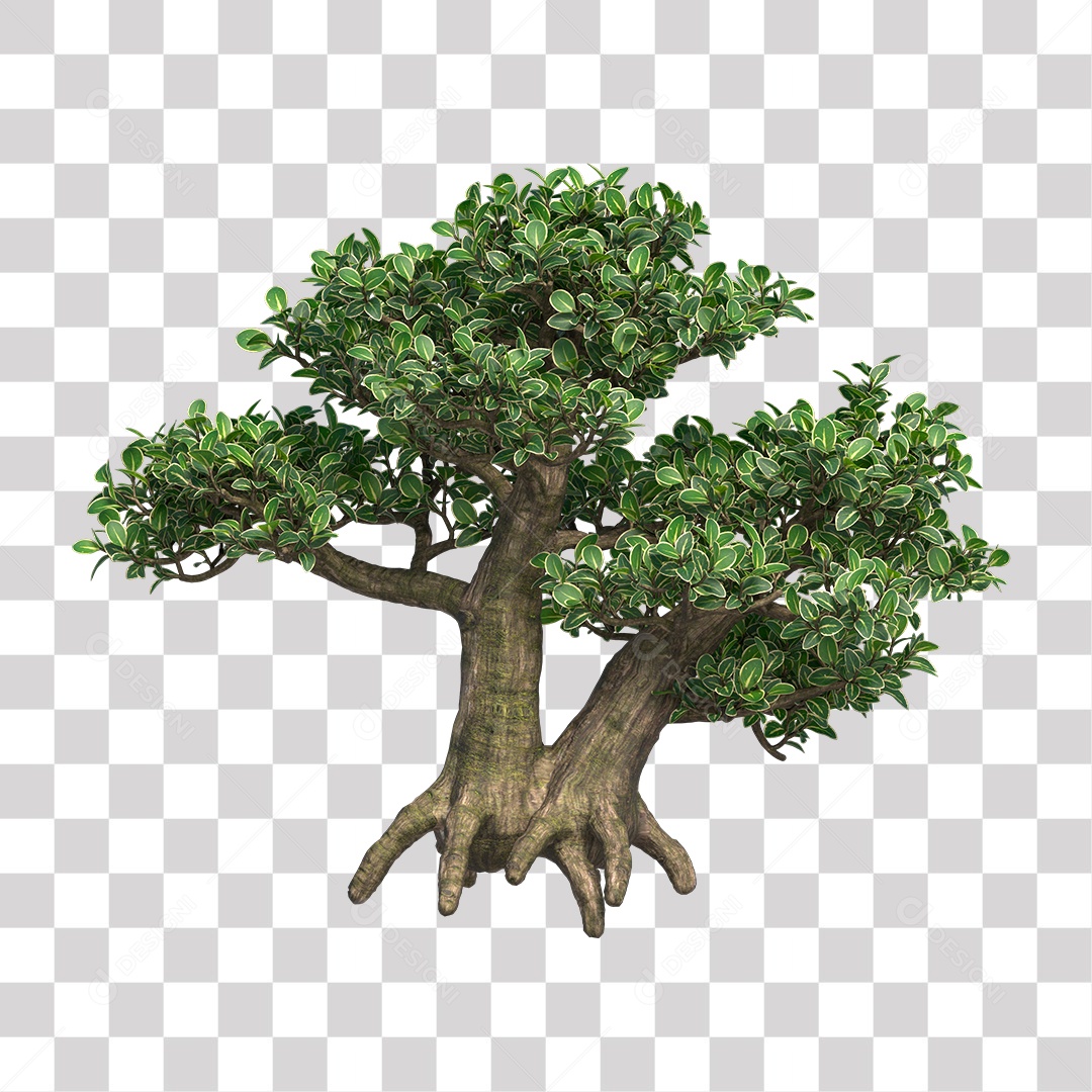 Árvores verdes PNG Transparente