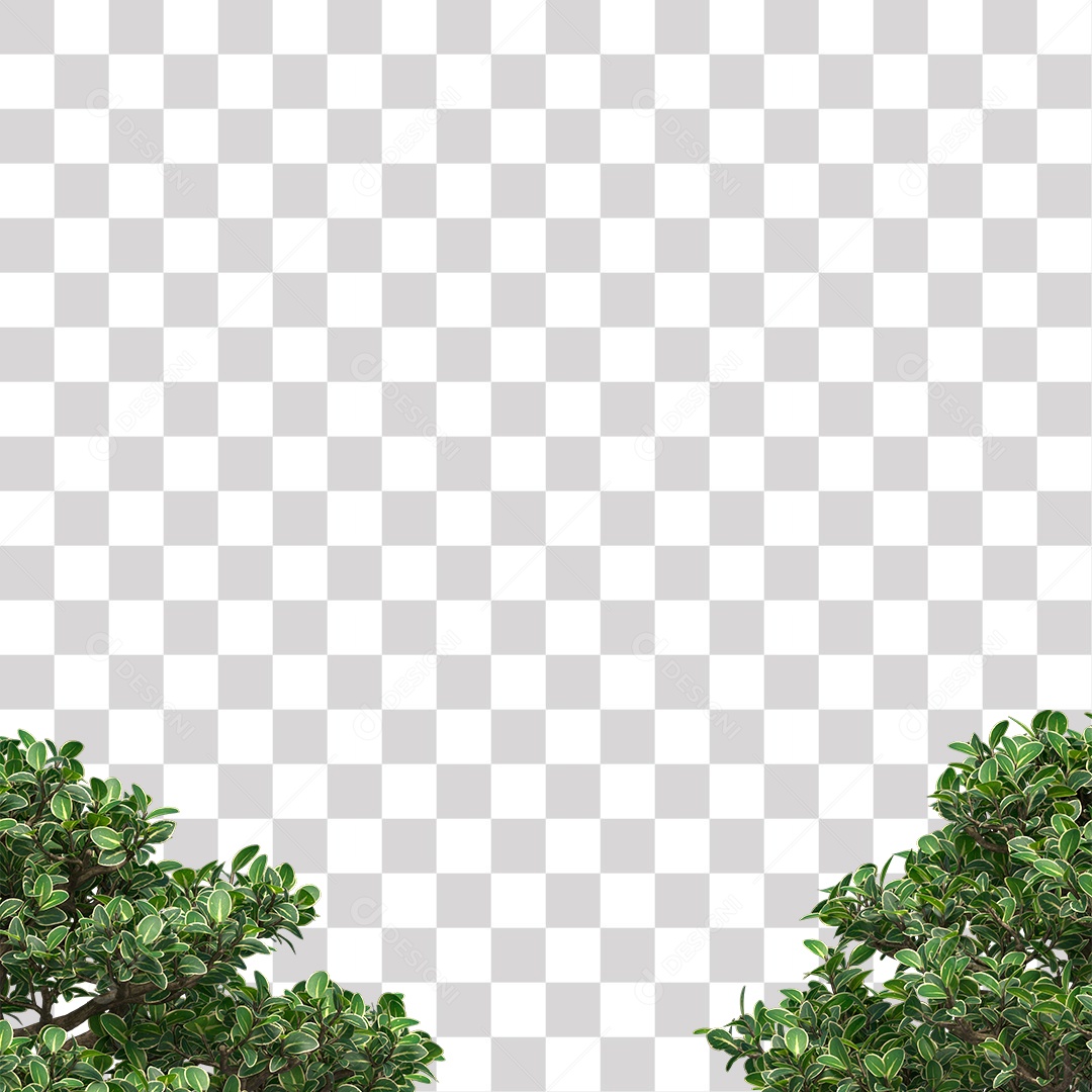 Folhas verdes de árvores PNG Transparente