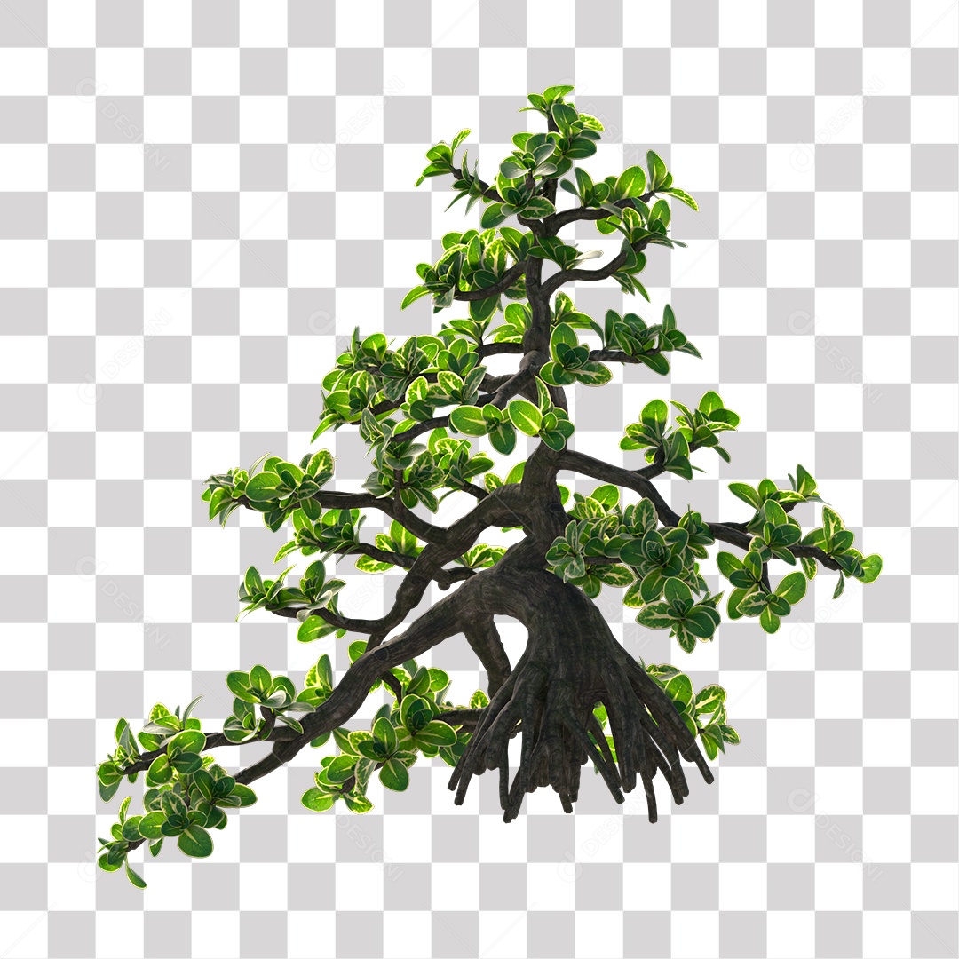 Galhos de folhas verdes PNG Transparente