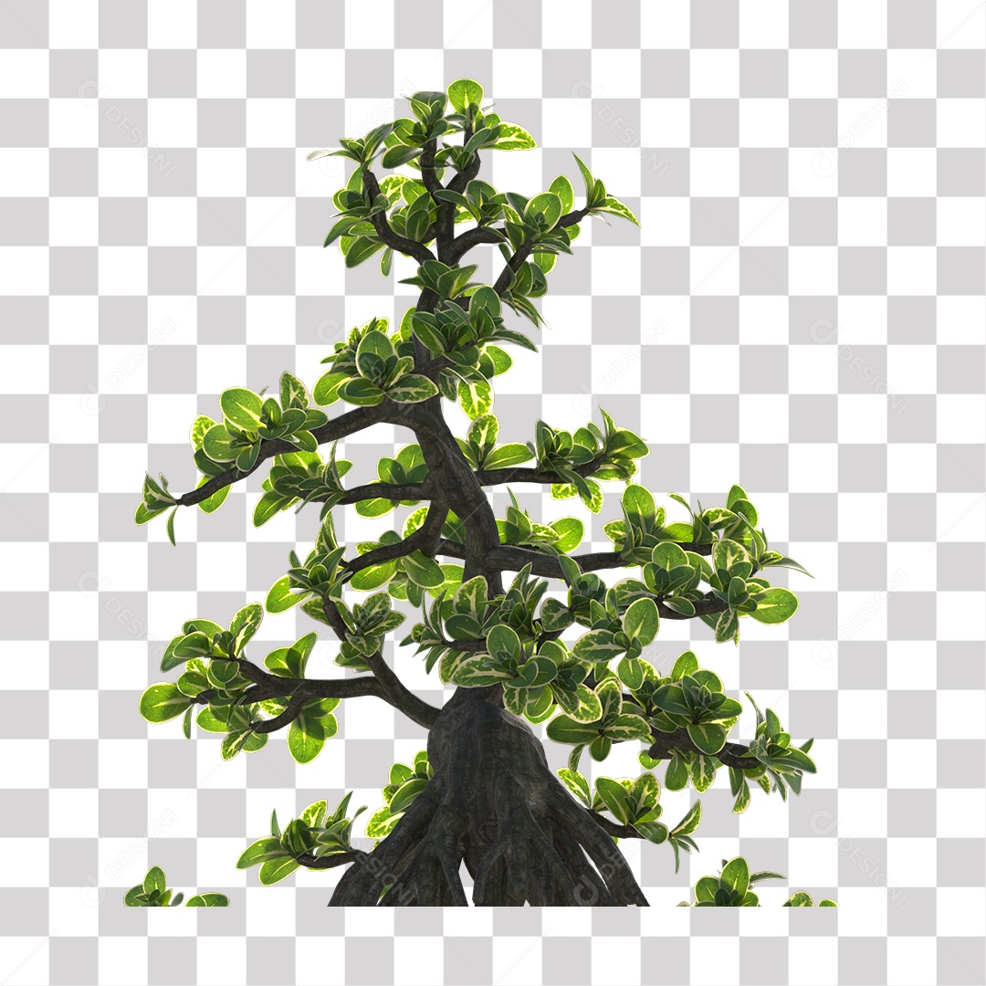 Árvores verdes PNG Transparente