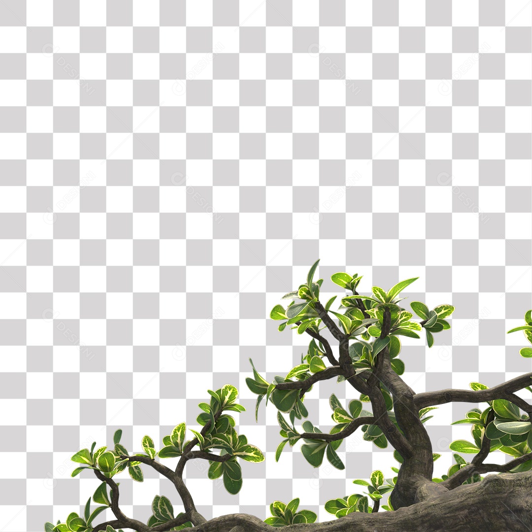 Galhos de folhas verdes PNG Transparente