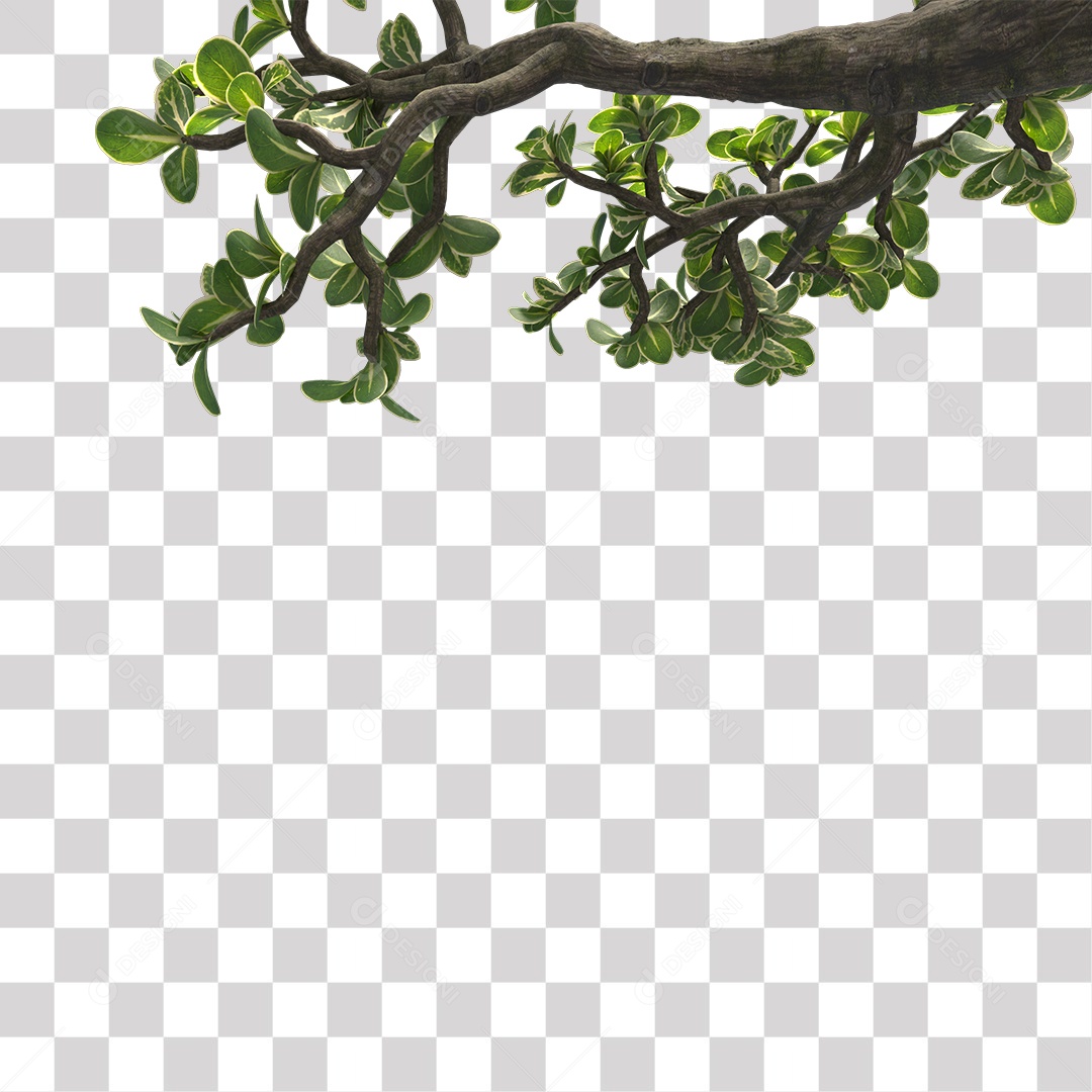 Galhos de folhas verdes PNG Transparente