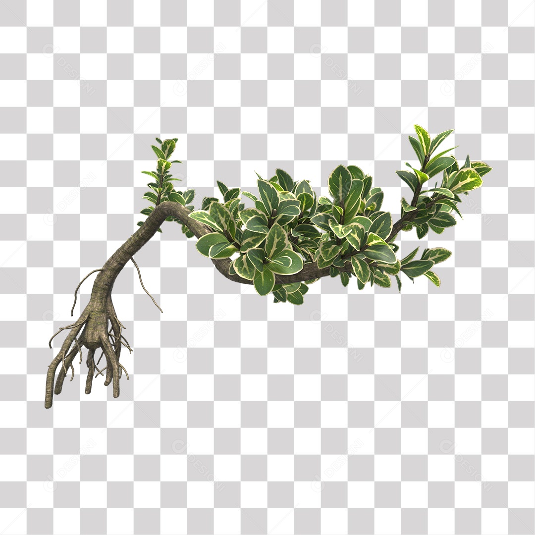 Árvores verdes PNG Transparente