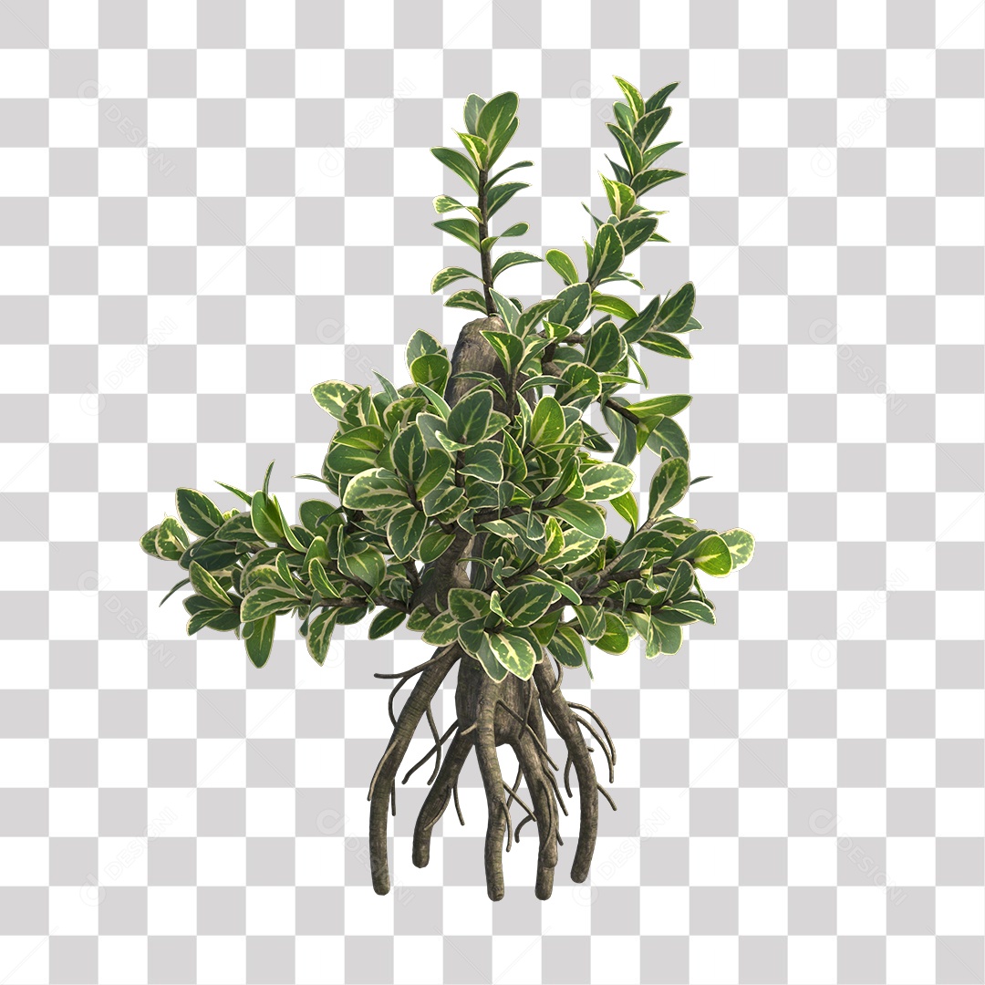 Planta com galhos e folha verdes PNG Transparente