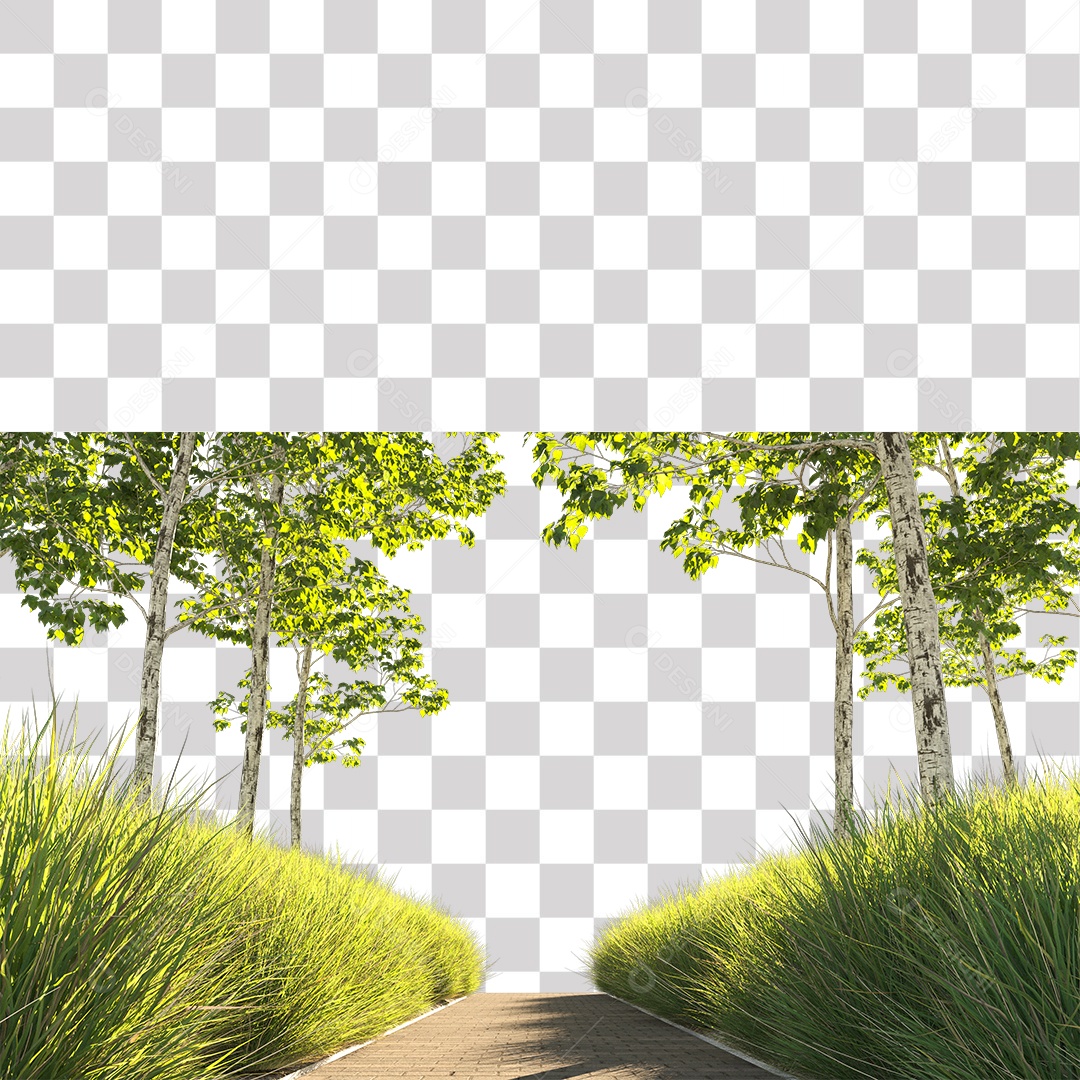 Árvores verdes Estrada PNG Transparente