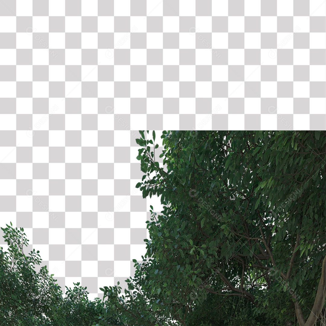 Árvores verdes PNG Transparente