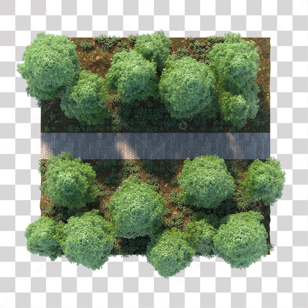 Árvores verdes Estrada PNG Transparente