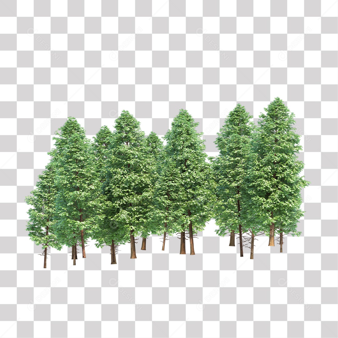 Árvores verdes PNG Transparente