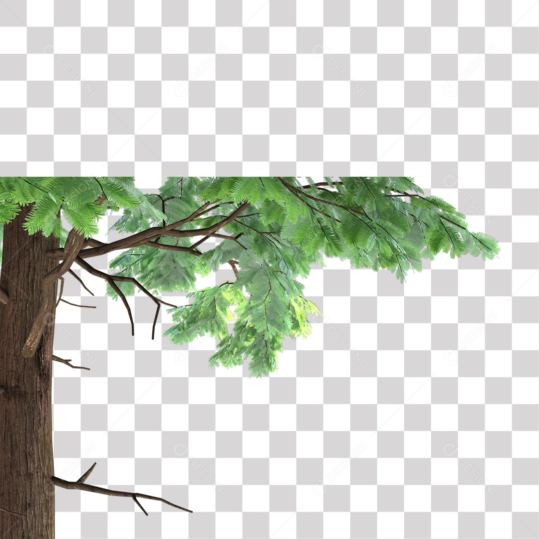 Árvores verdes PNG Transparente