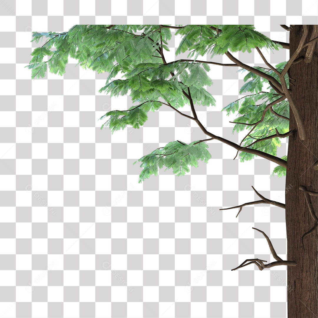 Árvores verdes PNG Transparente