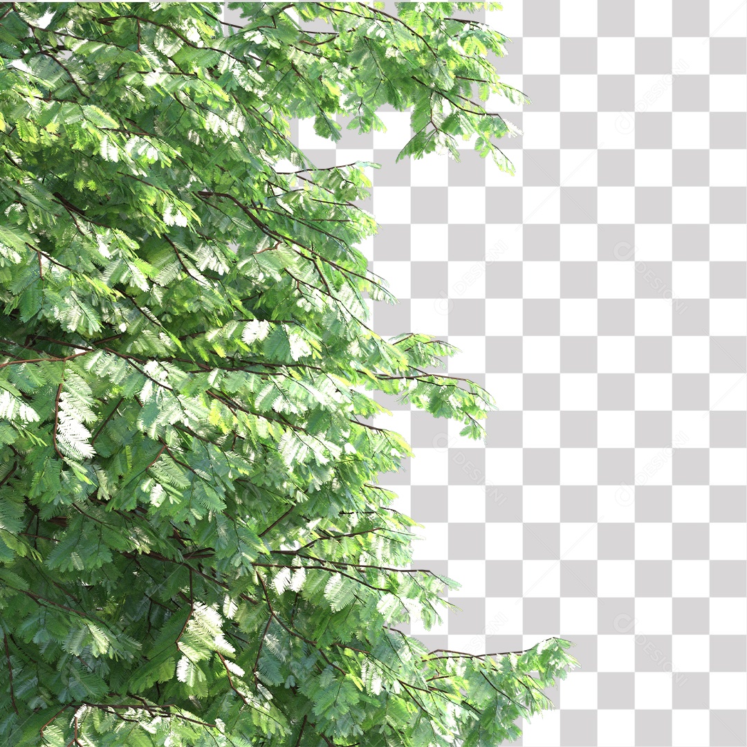 Árvores verdes PNG Transparente