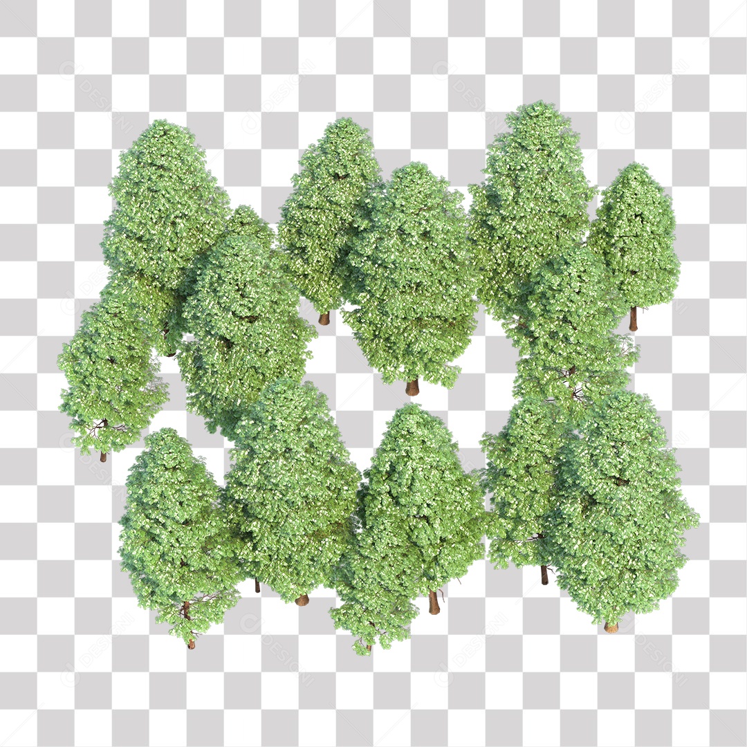 Floresta Árvores verdes  PNG Transparente