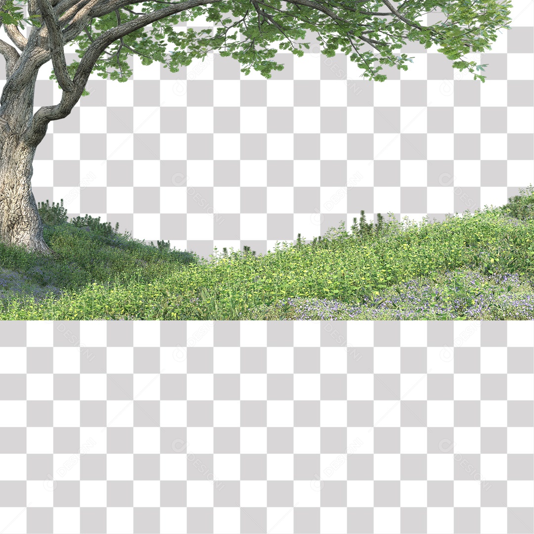 Árvores verdes no Campo PNG Transparente