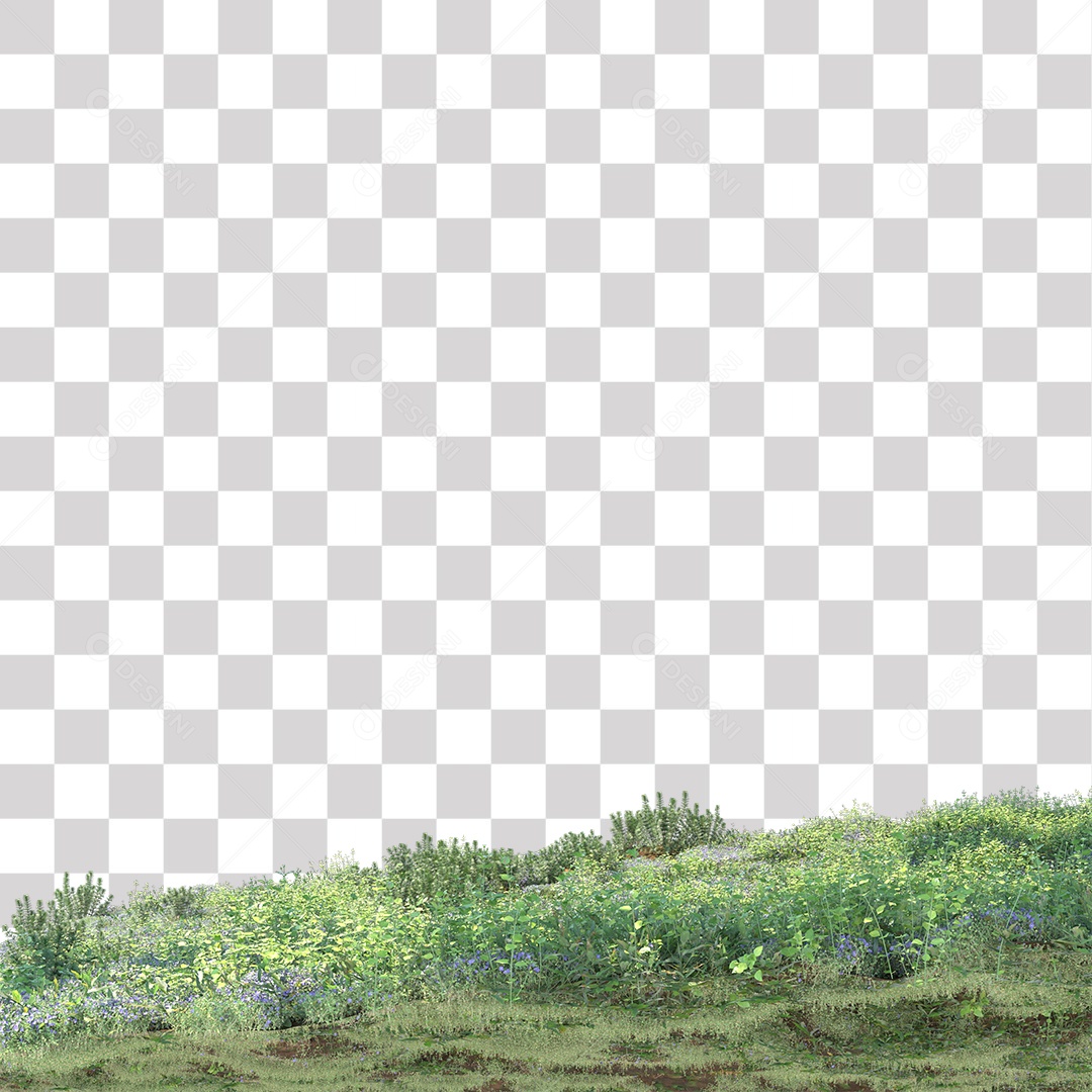 Campo Verde PNG Transparente