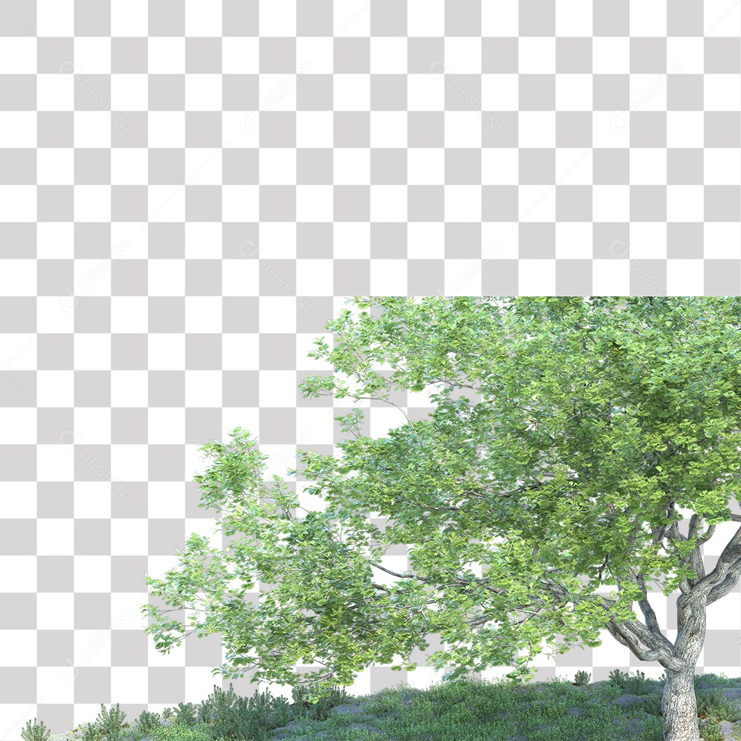 Árvores verdes PNG Transparente