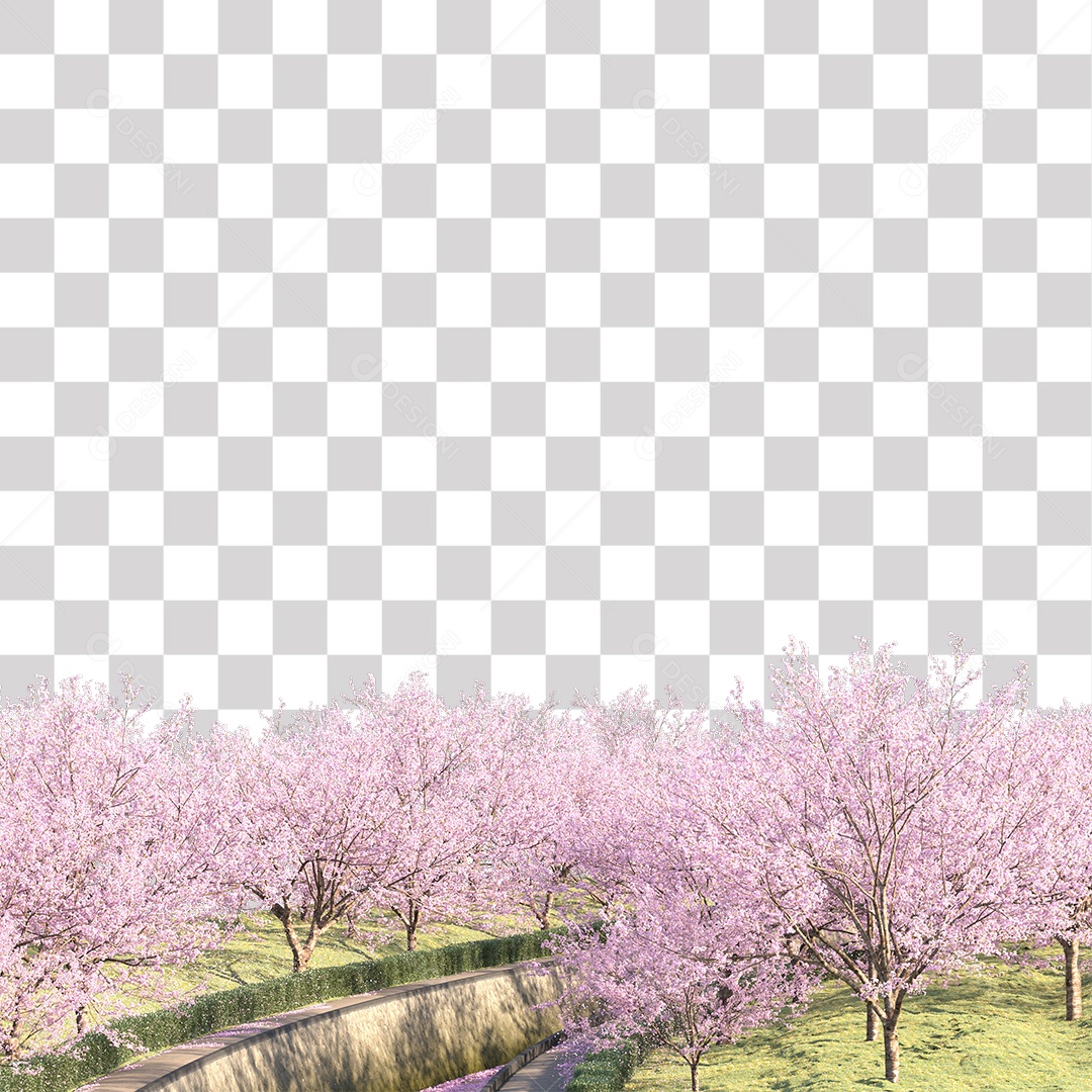 Árvores de Flor de Cerejeira PNG Transparente