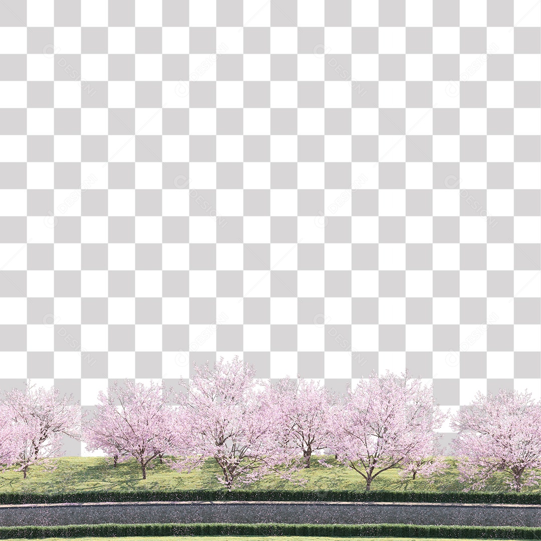 Árvores de Flor de Cerejeira Estrada PNG Transparente