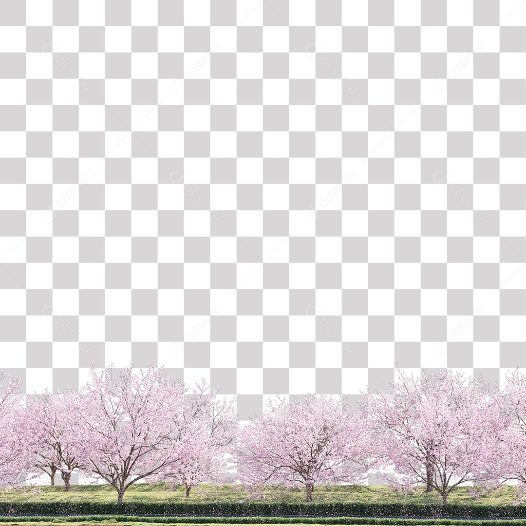 Árvores de Flor de Cerejeira PNG Transparente
