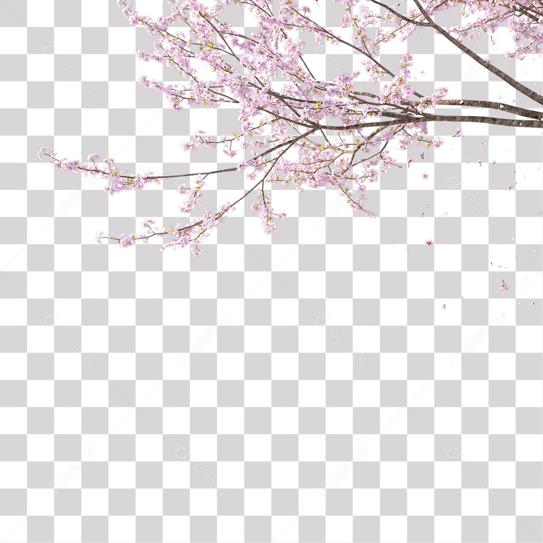 galho de flores rosa PNG Transparente