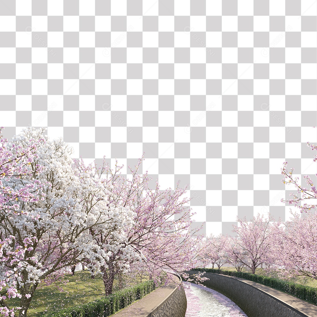 Árvores de Flor de Cerejeira Estrada PNG Transparente