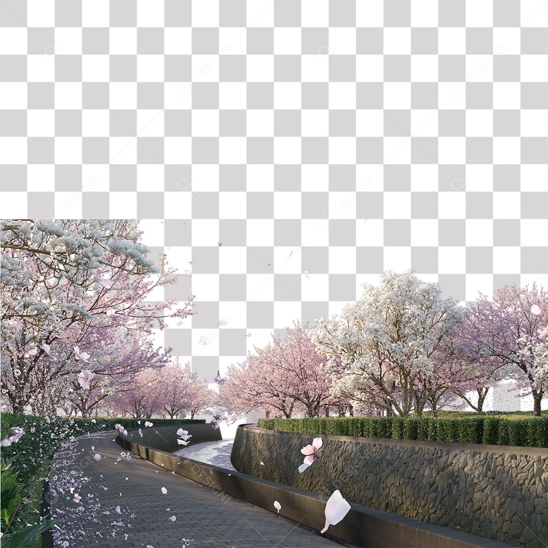 Estrada com árvores de cerejeira PNG Transparente