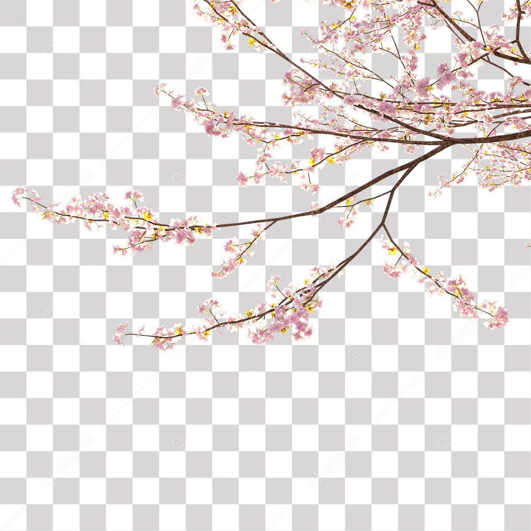 galho de flores rosa PNG Transparente