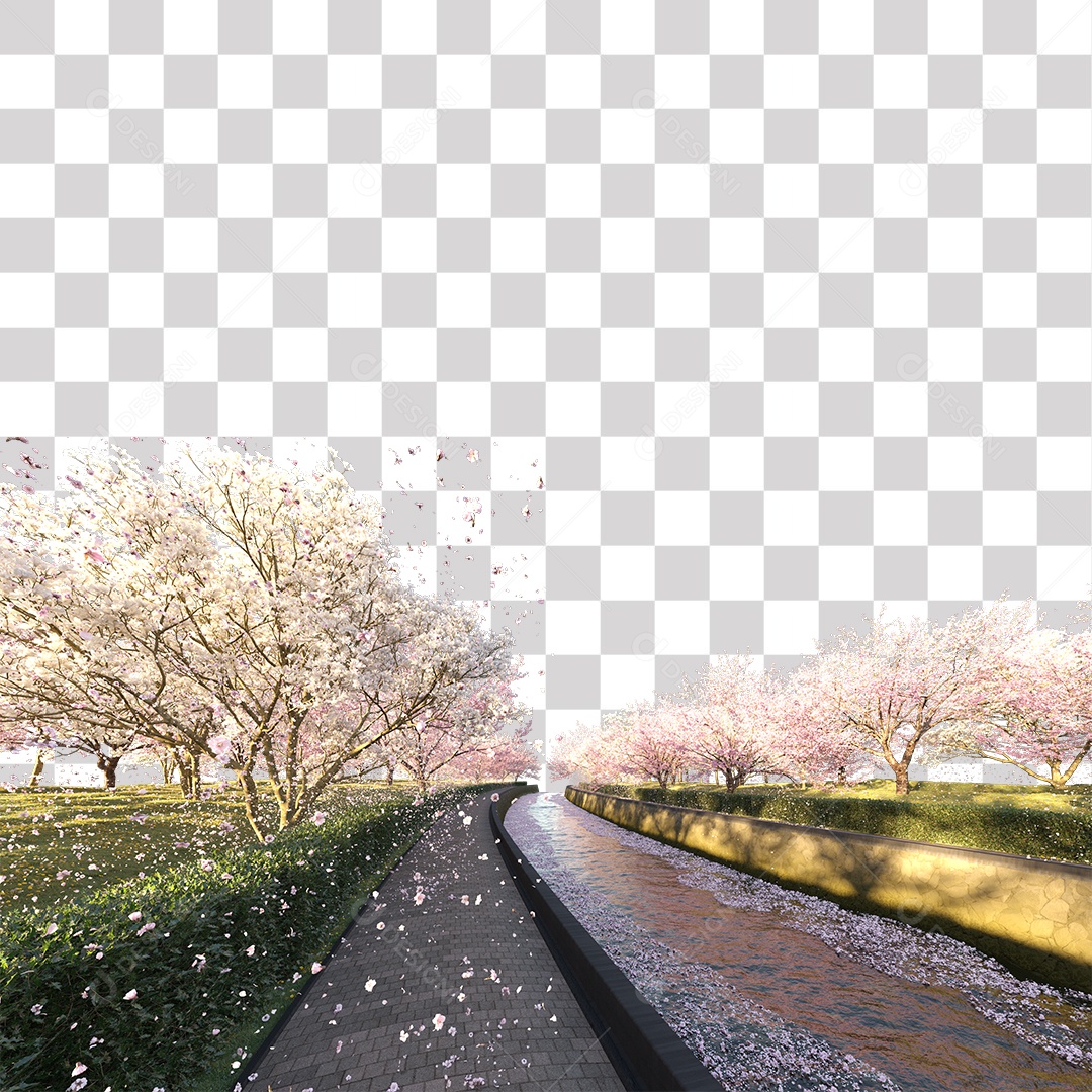 Estrada com árvores de cerejeira PNG Transparente