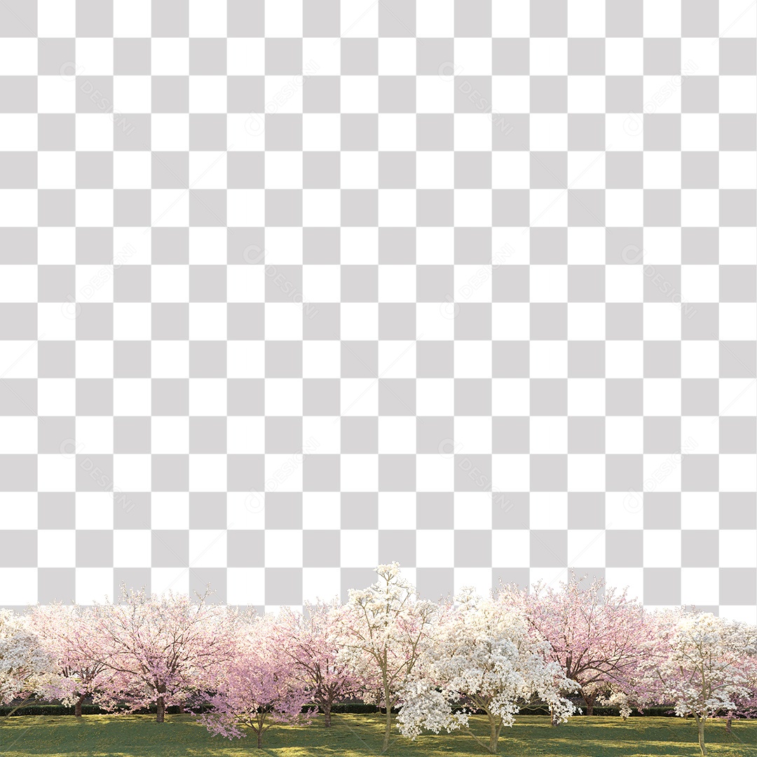 Árvores de Flor de Cerejeira PNG Transparente