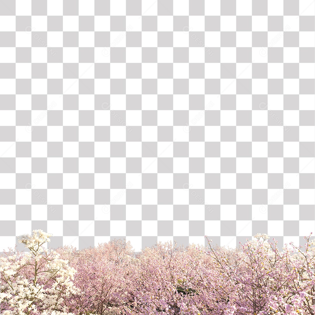 Flores cor de rosa PNG Transparente