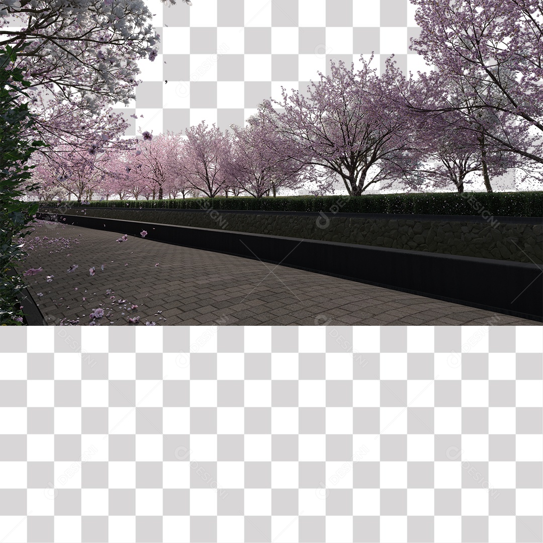 Árvores de Flor de Cerejeira Estrada PNG Transparente