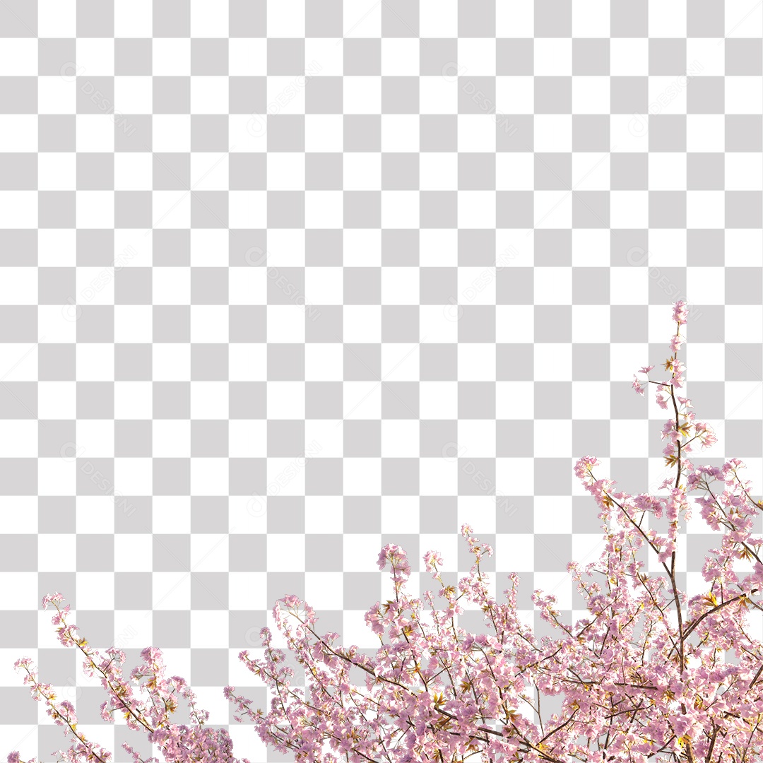 Flores cor de rosa PNG Transparente