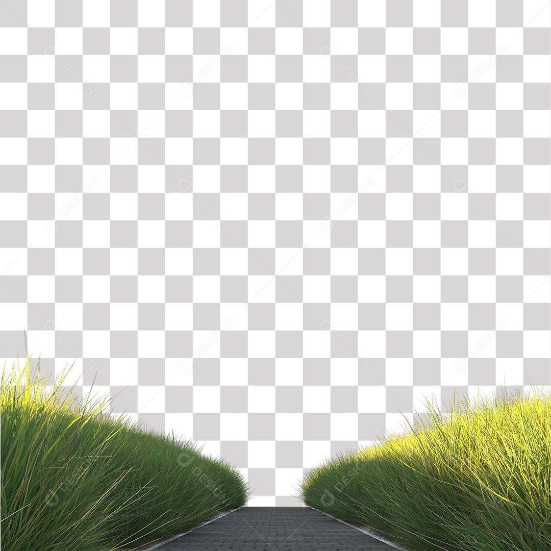 Estrada com capim verde PNG Transparente