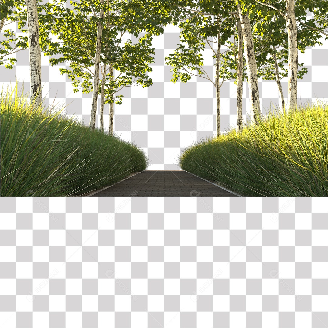 Árvores verdes Estrada PNG Transparente